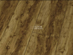 Ламинат Falquon Blue Line Wood 8mm D2272 CANYON OLD BIRCH фото 1 | FLOORDEALER